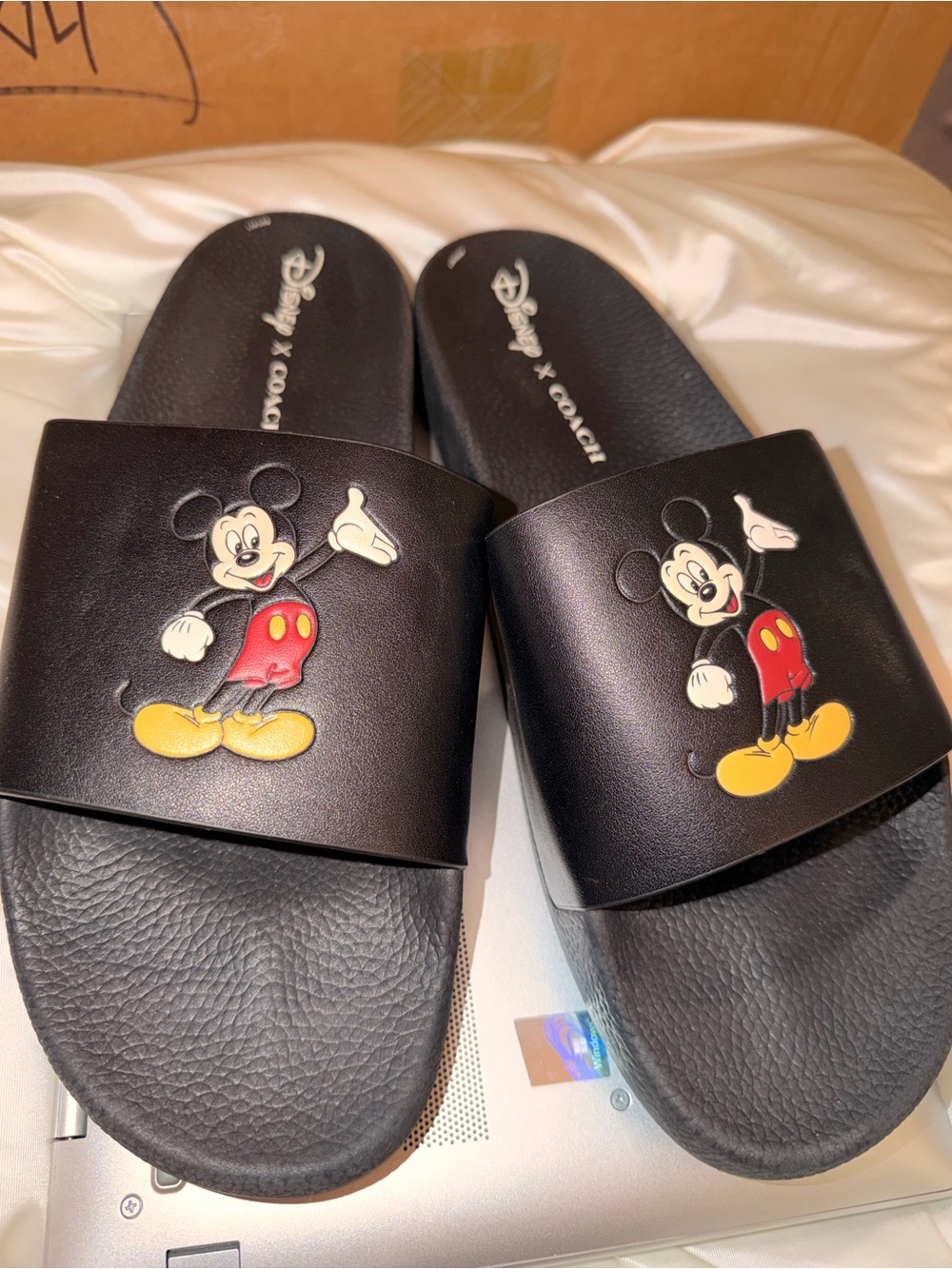 Coach X Disney Slides
